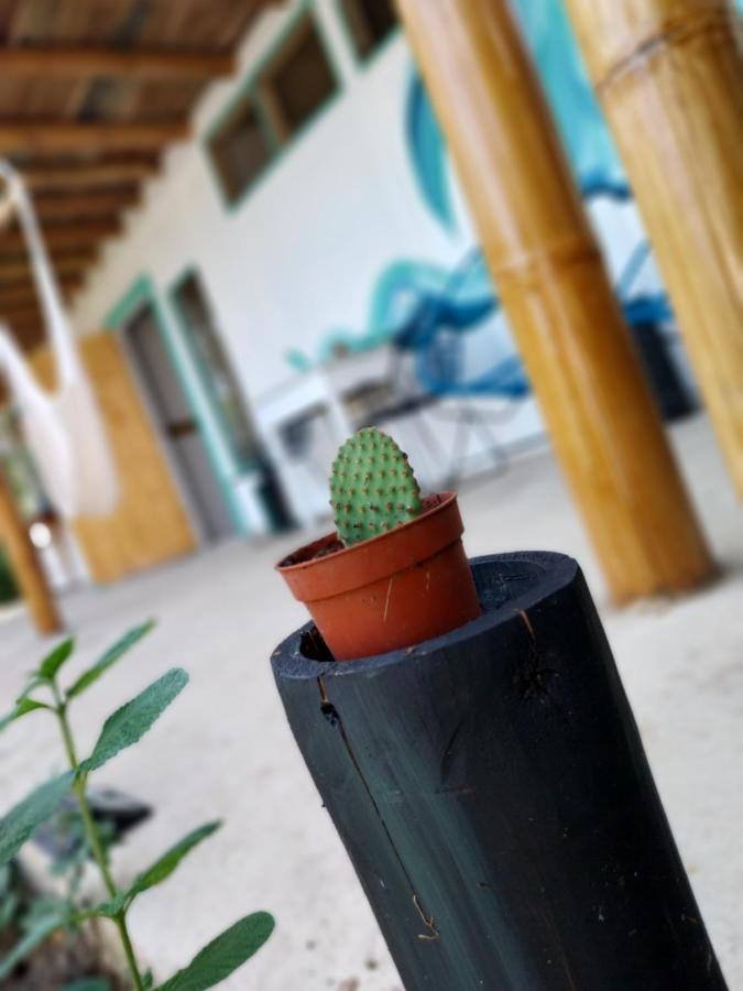 Apartmán Flor De Bambu Uvita Exteriér fotografie