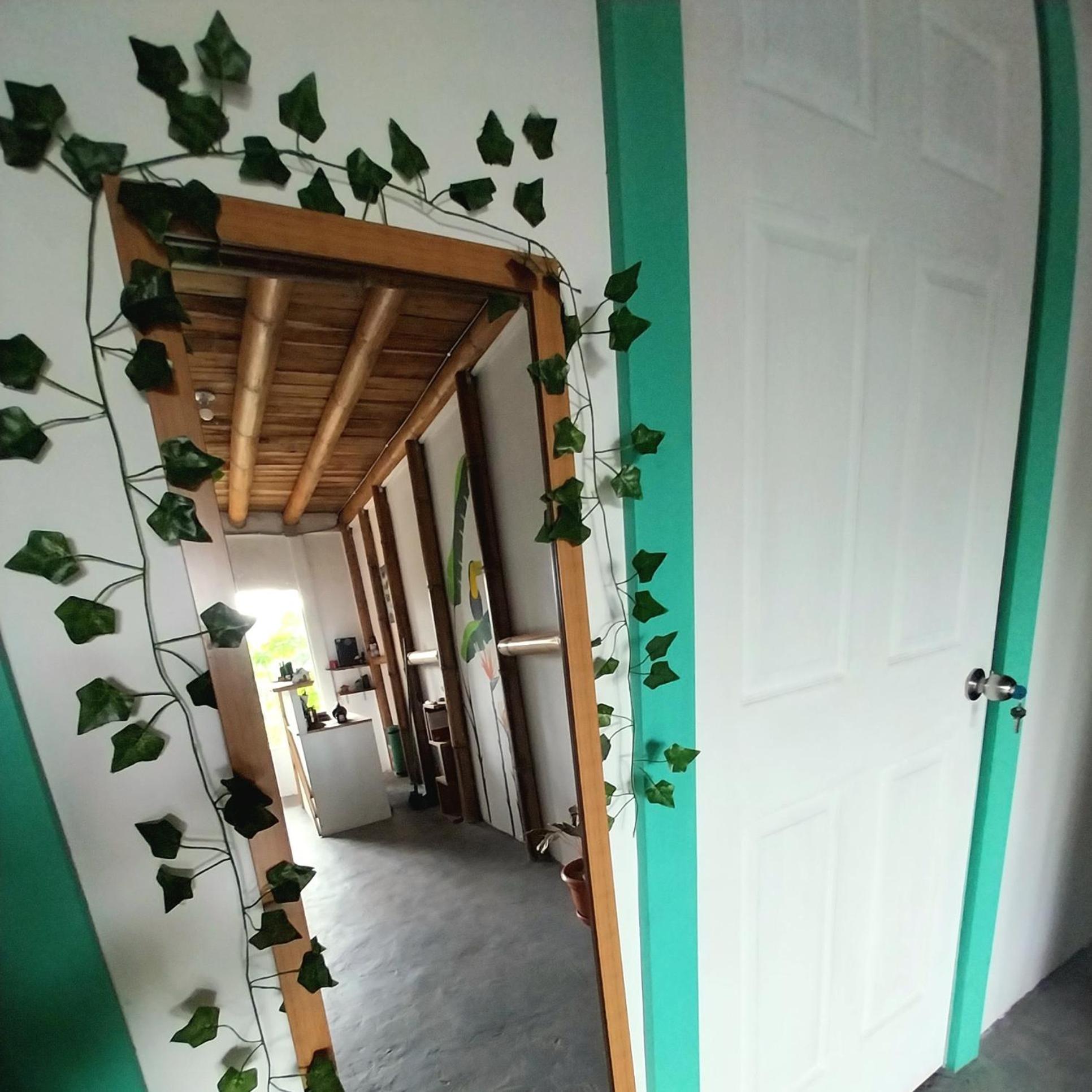 Apartmán Flor De Bambu Uvita Exteriér fotografie